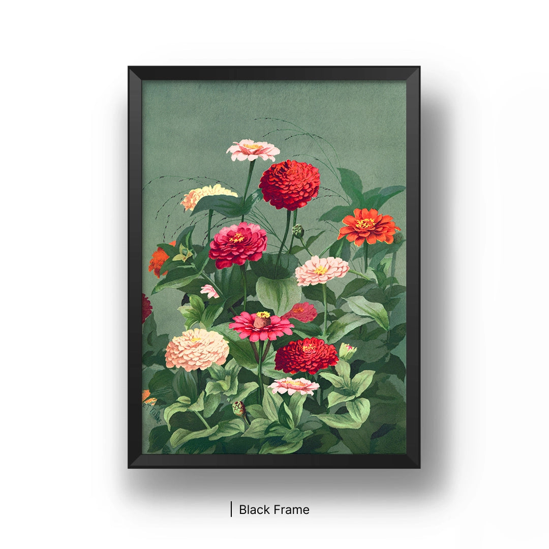 Zinnia Bloom Botanical
