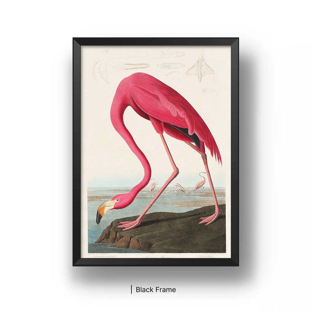 Vintage Pink Flamingo
