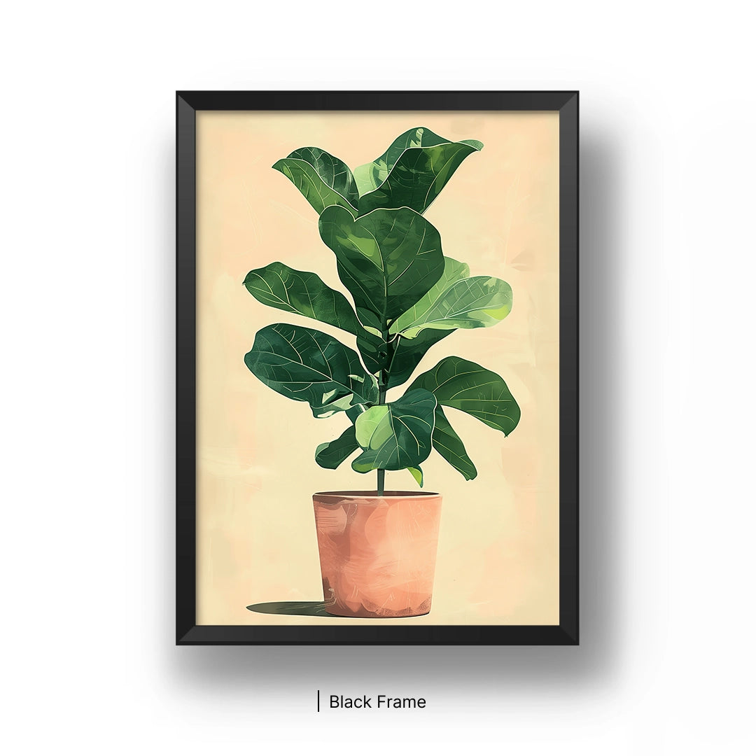 Fiddle Leaf Fig