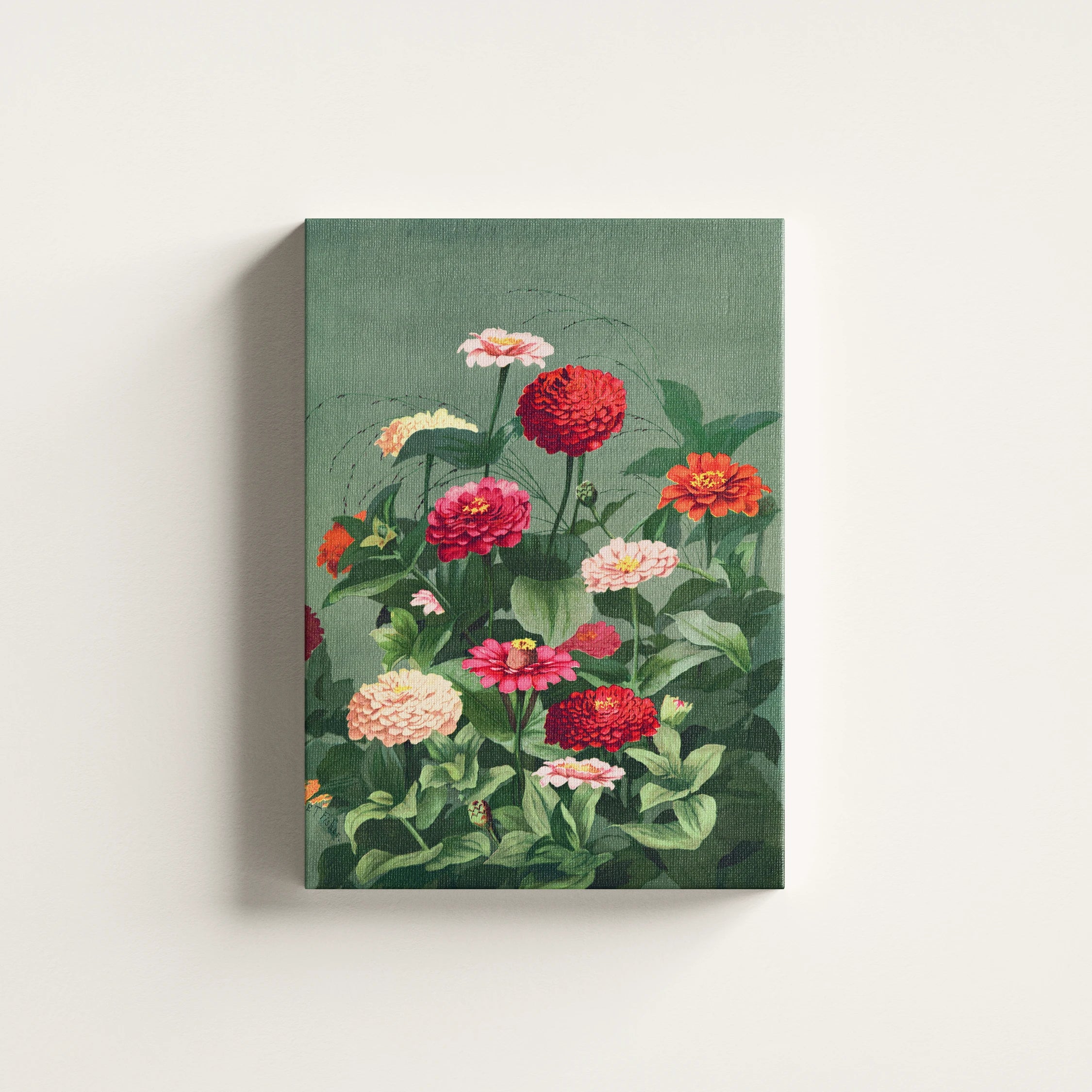 Zinnia Bloom Botanical