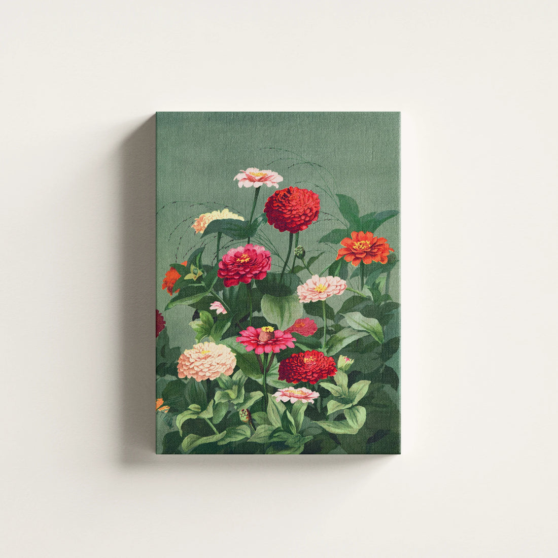 Zinnia Bloom Botanical