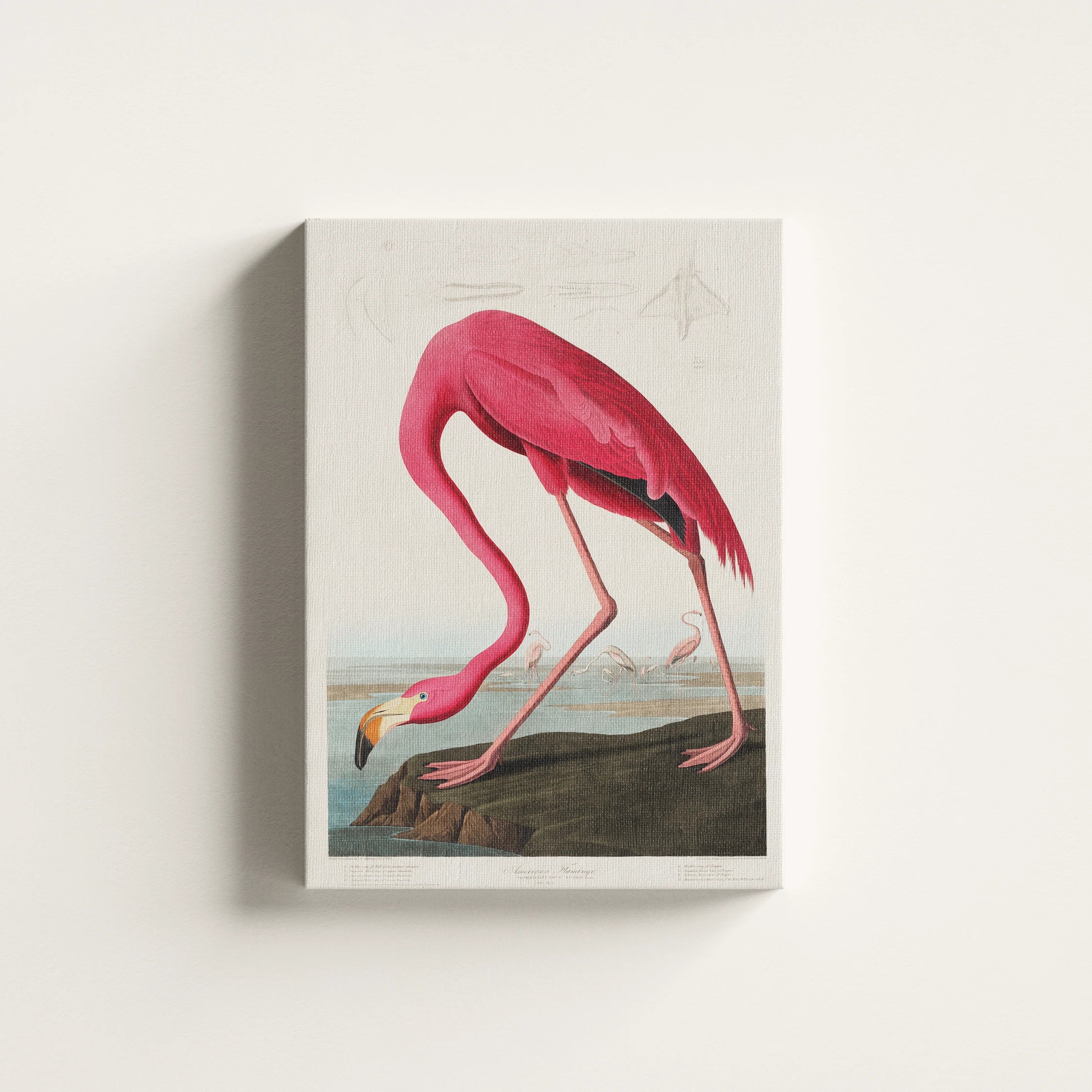 Vintage Pink Flamingo