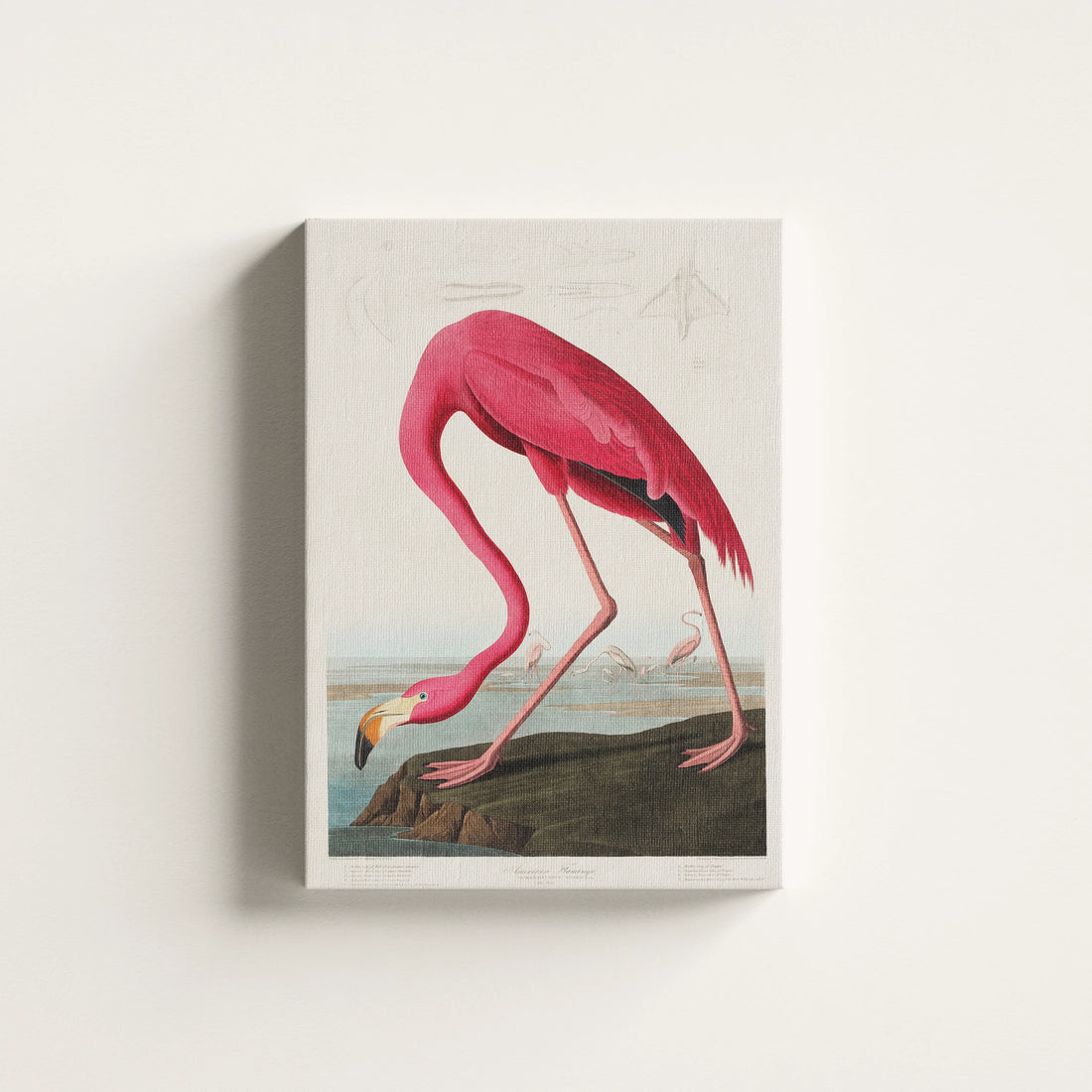 Vintage Pink Flamingo