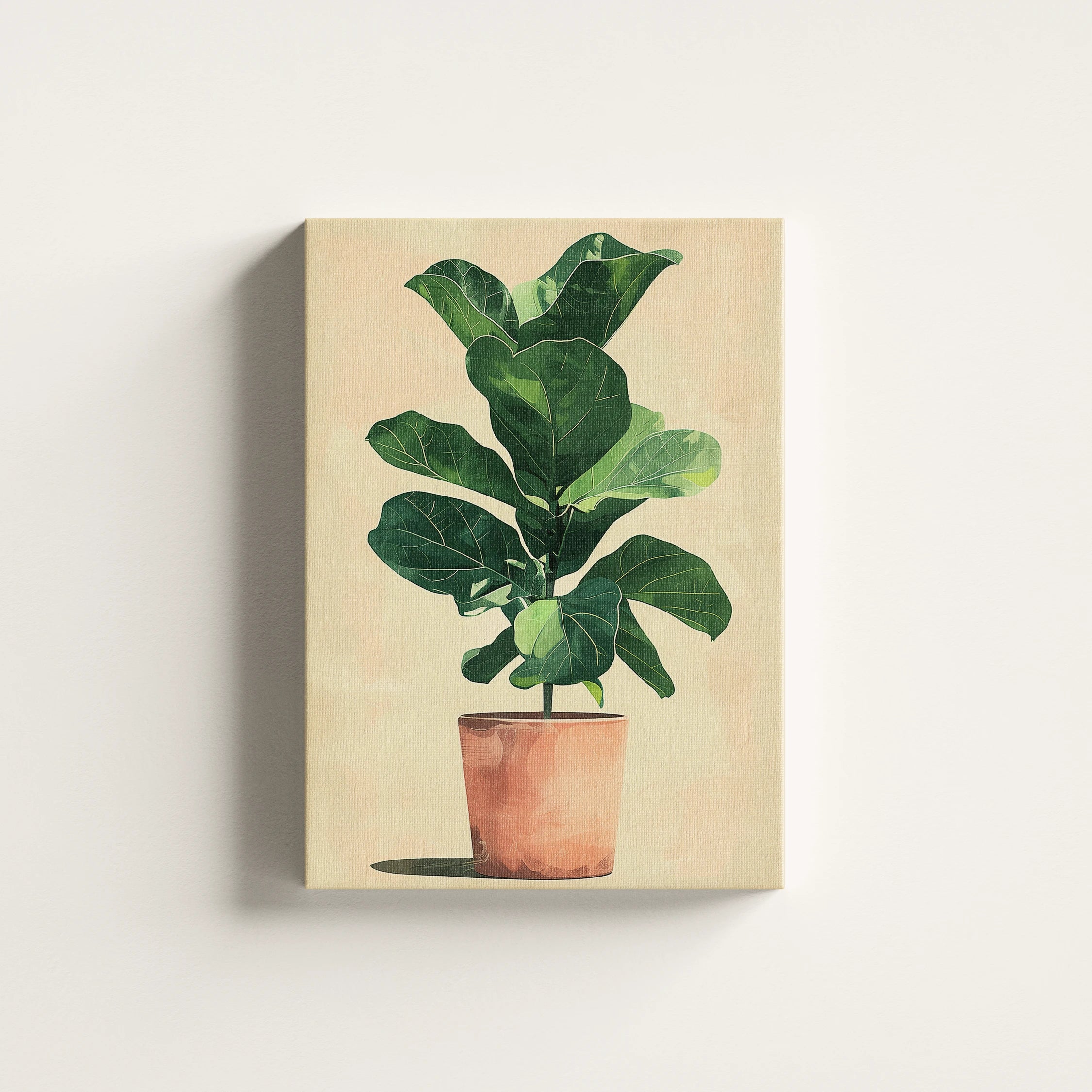 Fiddle Leaf Fig