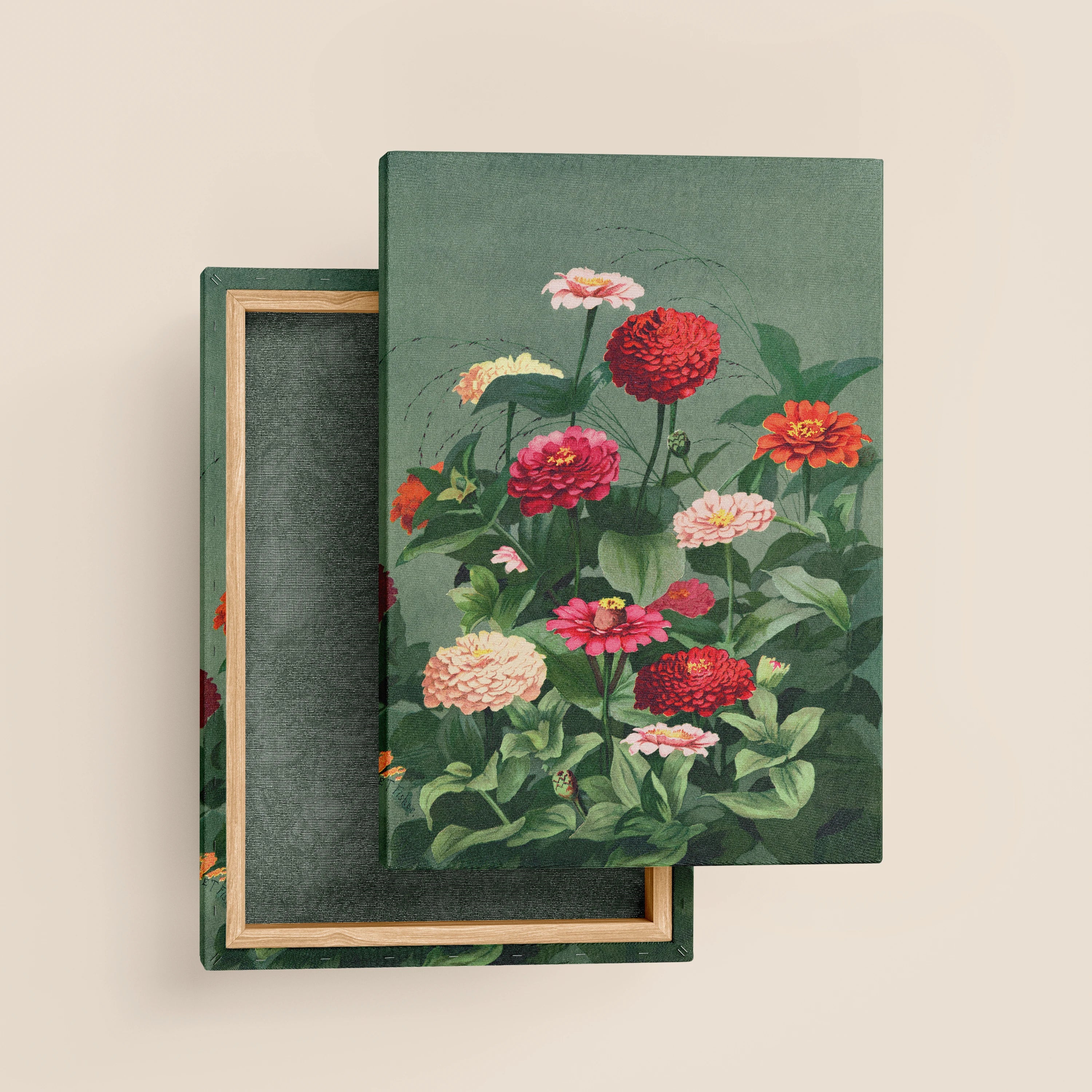 Zinnia Bloom Botanical