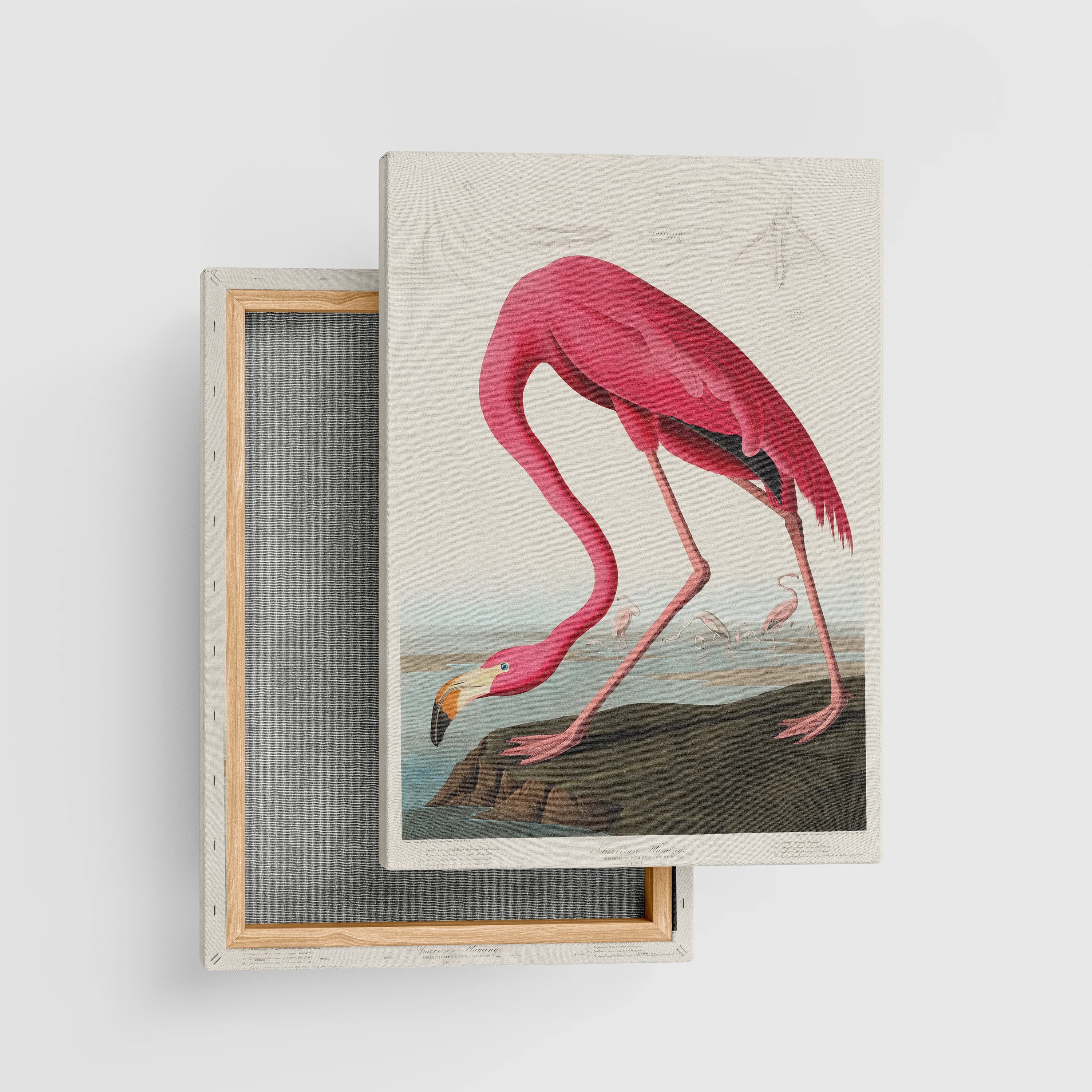Vintage Pink Flamingo