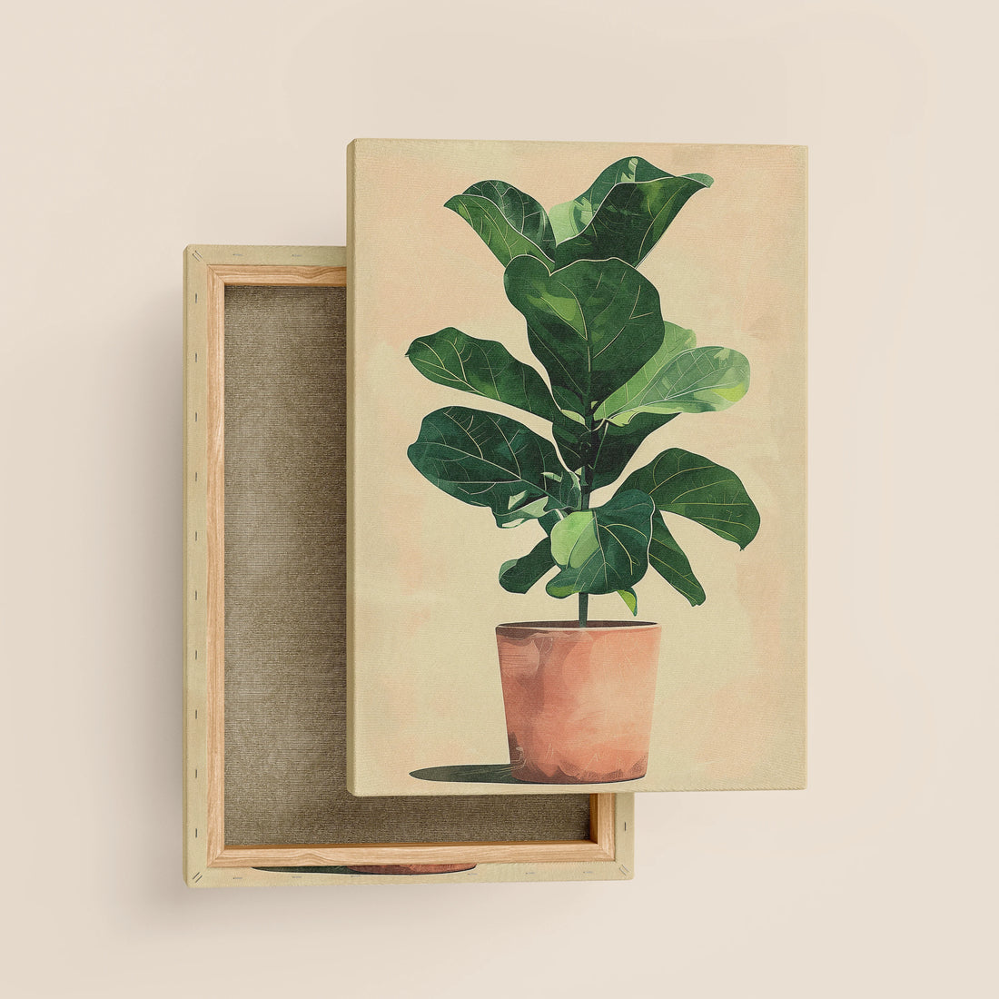 Fiddle Leaf Fig