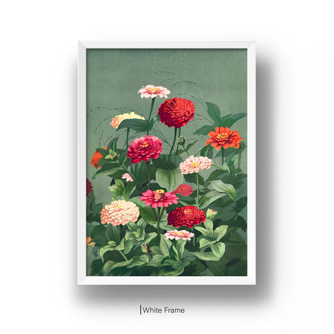 Zinnia Bloom Botanical