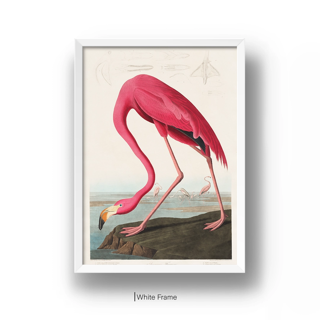 Vintage Pink Flamingo