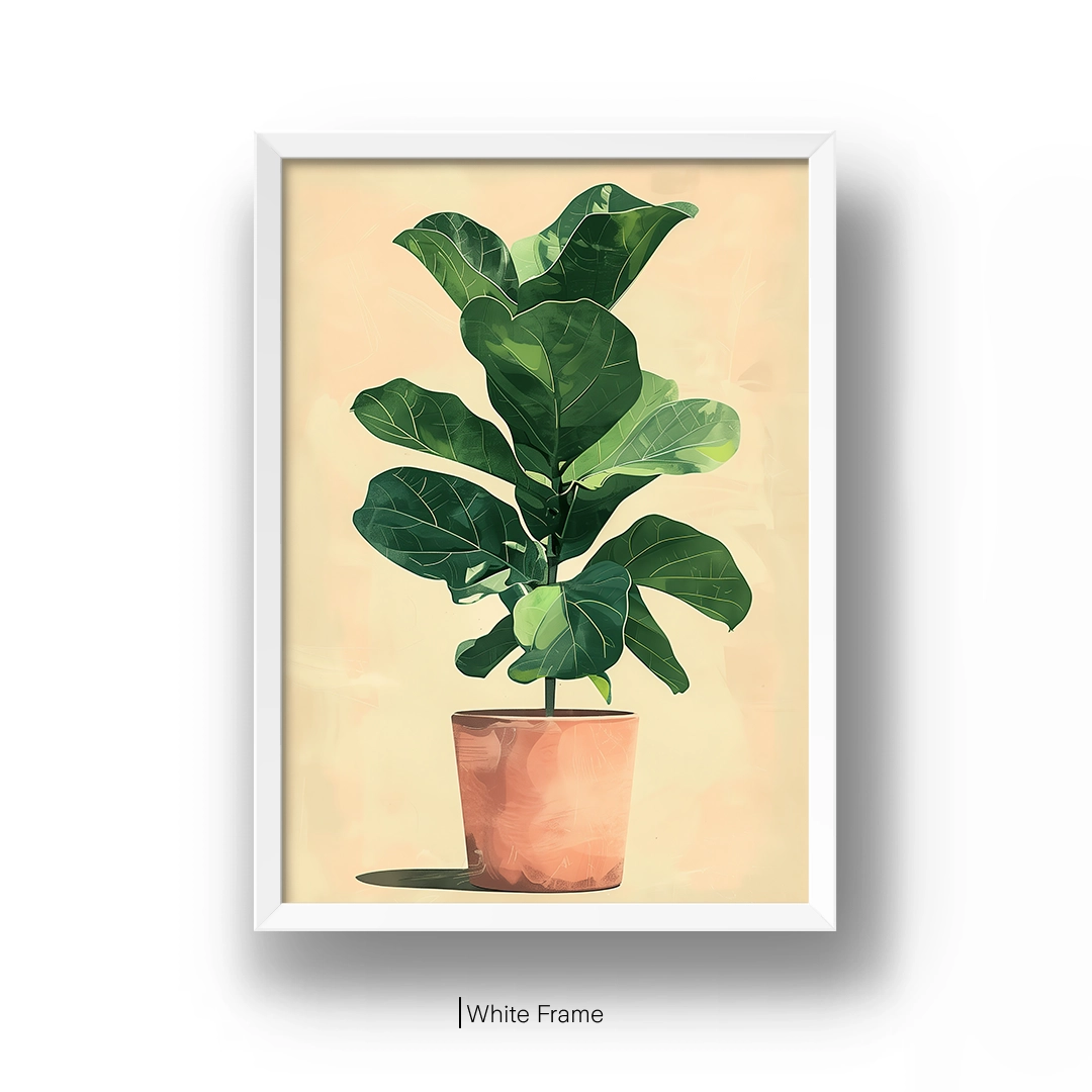 Fiddle Leaf Fig