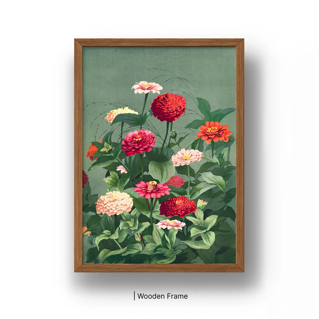 Zinnia Bloom Botanical