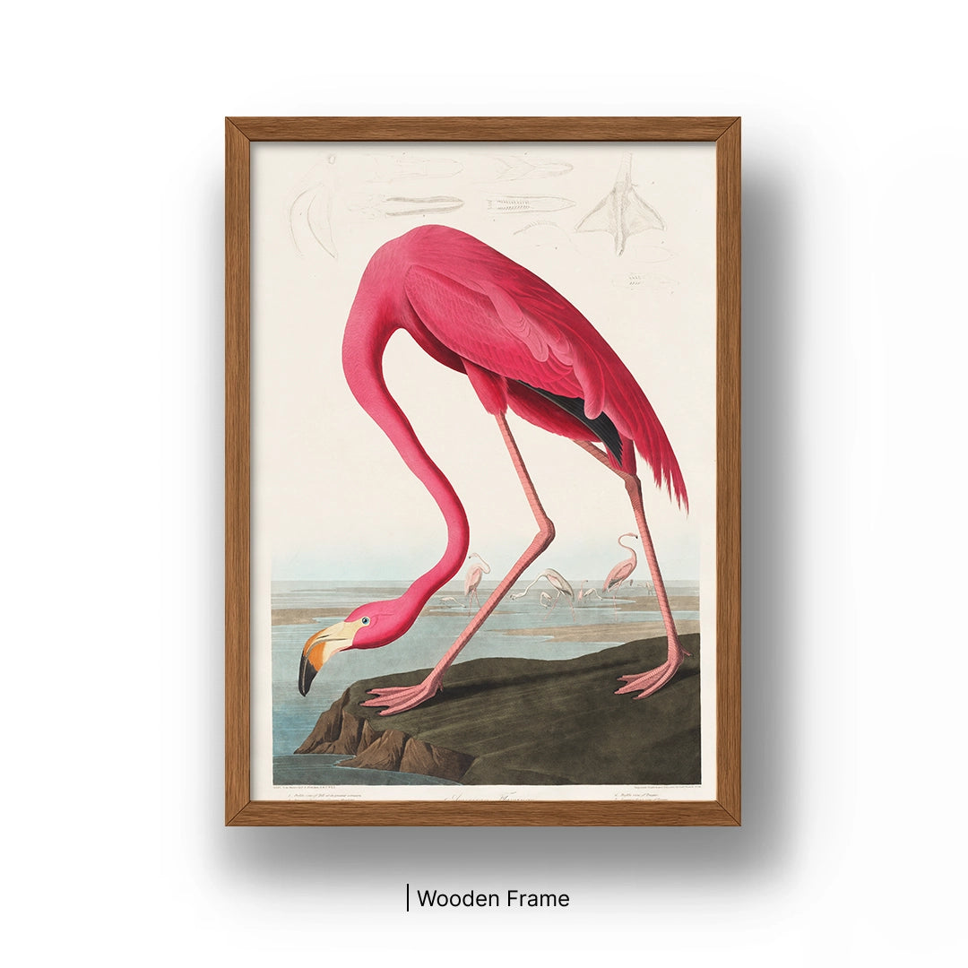 Vintage Pink Flamingo