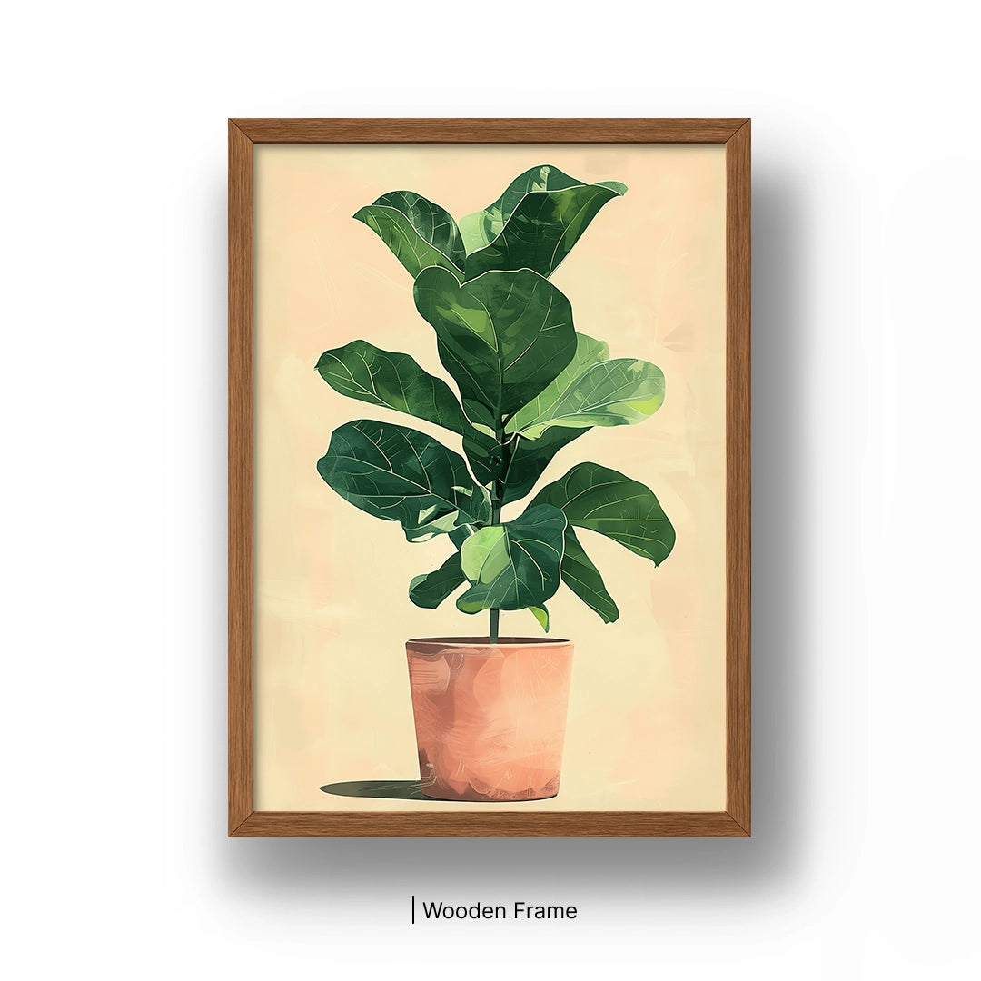 Fiddle Leaf Fig