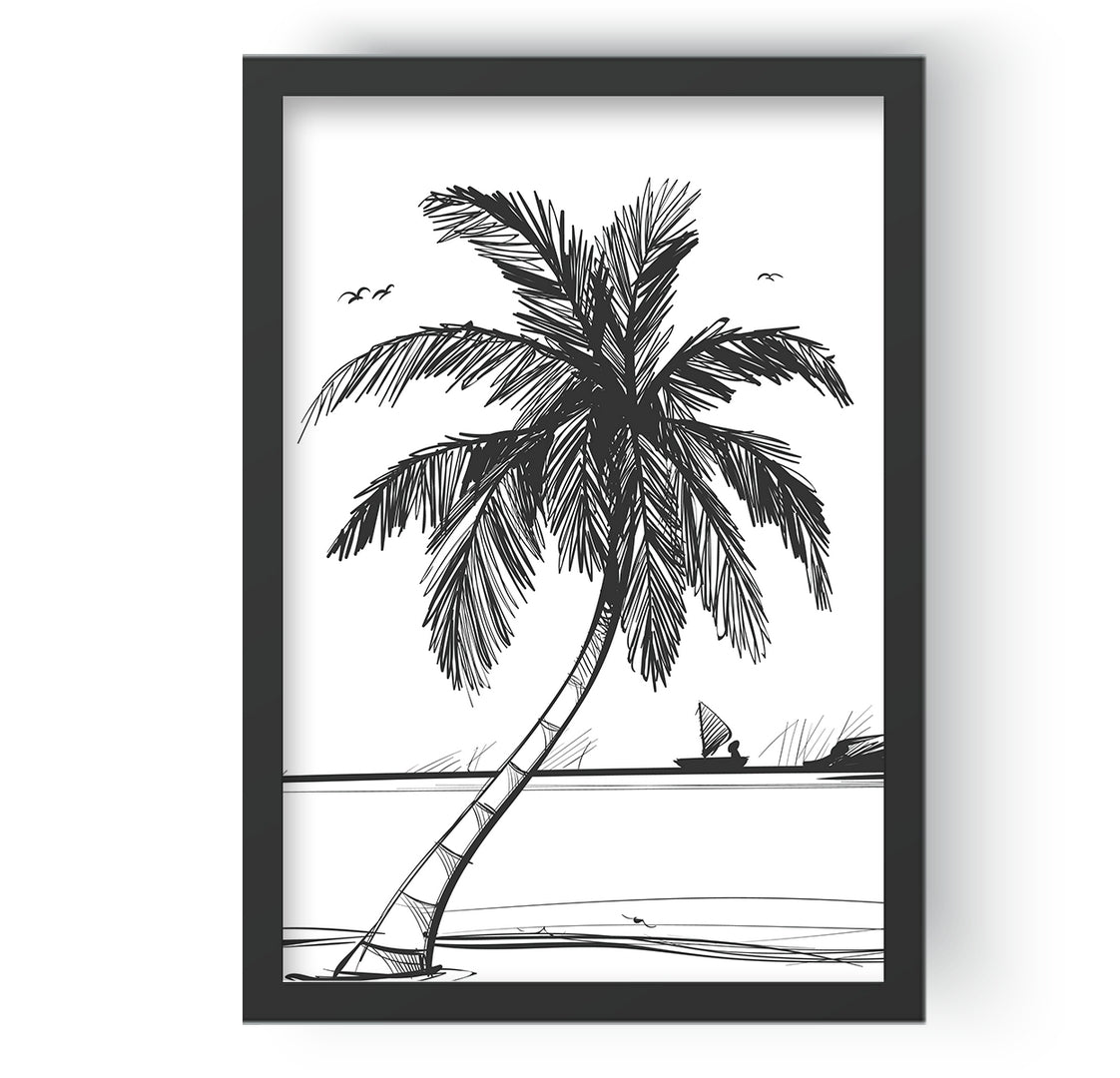 Coconut Tree