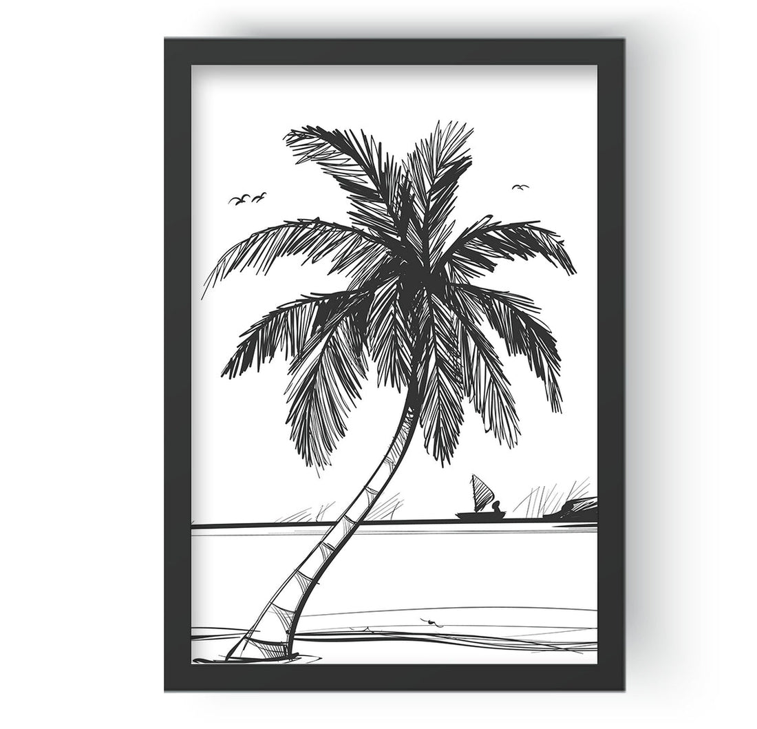 Coconut Tree