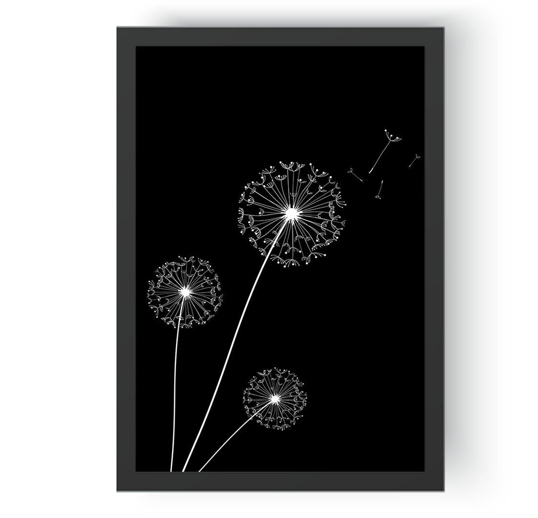 Dandelions