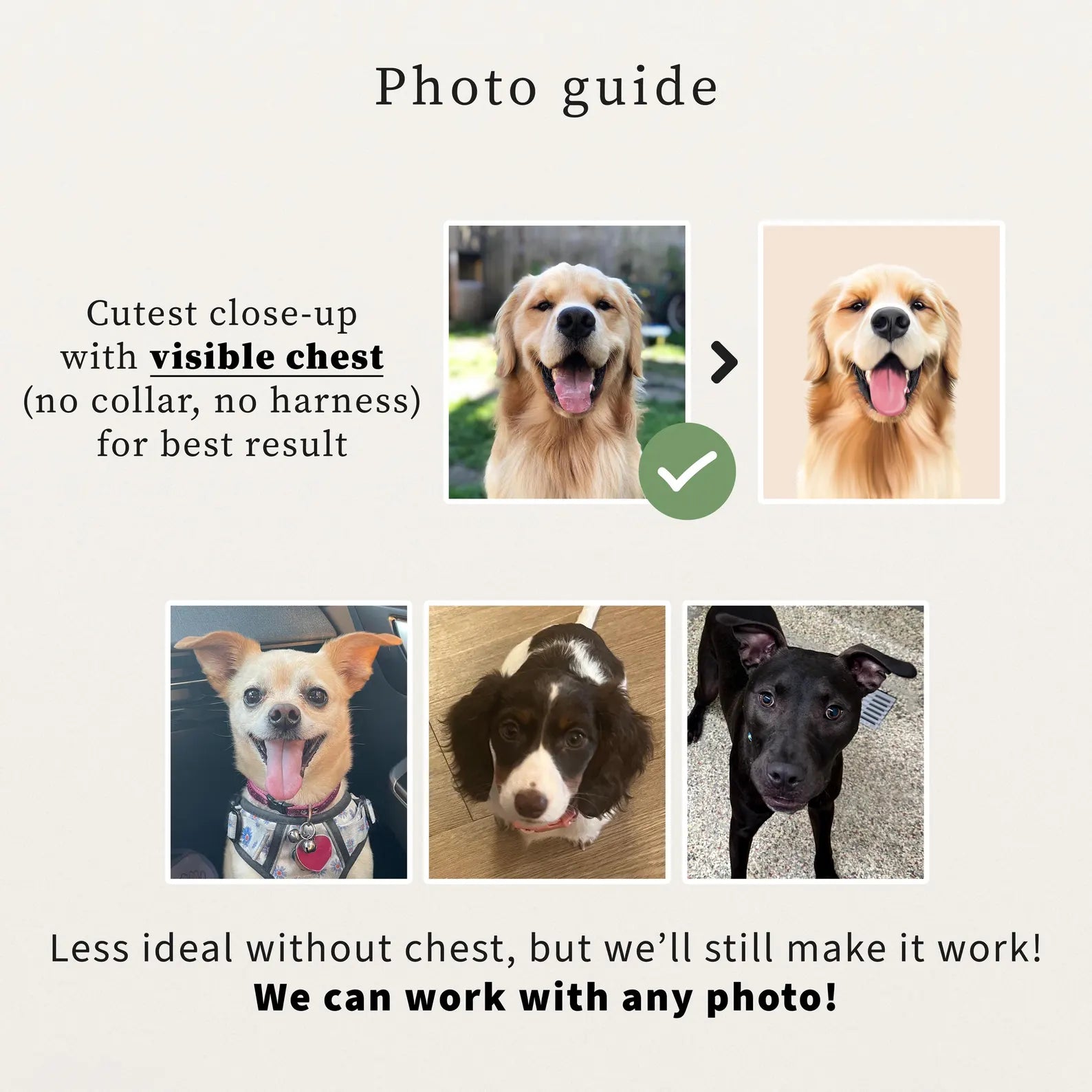 Custom Pet Portrait from Photo