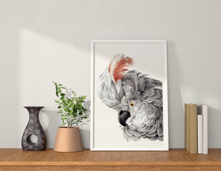 The White Parrot